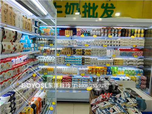 上海市市轄區閔行區龍茗路酸奶保鮮柜案例